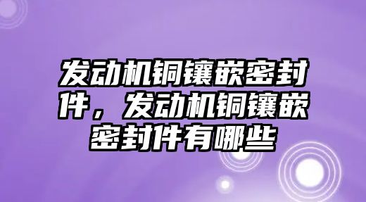 發(fā)動機銅鑲嵌密封件，發(fā)動機銅鑲嵌密封件有哪些