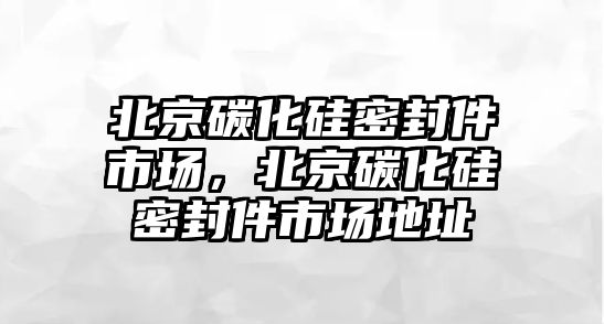 北京碳化硅密封件市場，北京碳化硅密封件市場地址