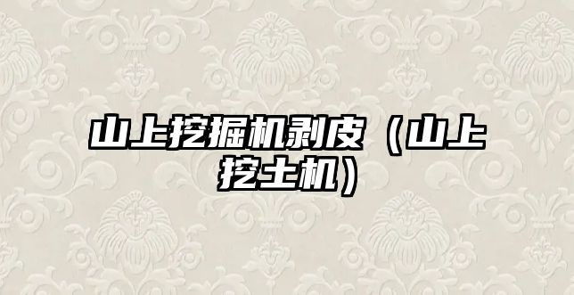 山上挖掘機剝皮（山上挖土機）