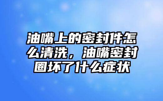 油嘴上的密封件怎么清洗，油嘴密封圈壞了什么癥狀