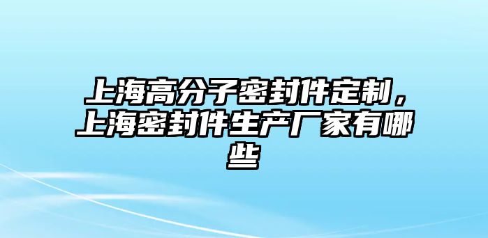 上海高分子密封件定制，上海密封件生產(chǎn)廠家有哪些