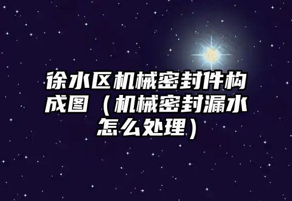 徐水區(qū)機械密封件構(gòu)成圖（機械密封漏水怎么處理）