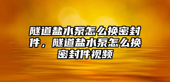 隧道鹽水泵怎么換密封件，隧道鹽水泵怎么換密封件視頻