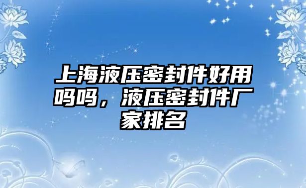 上海液壓密封件好用嗎嗎，液壓密封件廠家排名