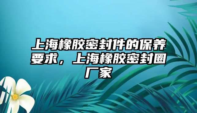 上海橡膠密封件的保養(yǎng)要求，上海橡膠密封圈廠家