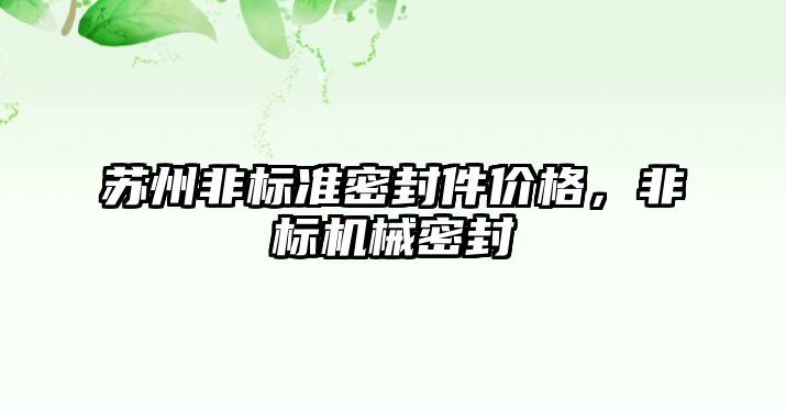 蘇州非標準密封件價格，非標機械密封