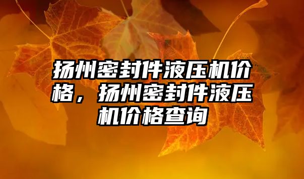 揚州密封件液壓機價格，揚州密封件液壓機價格查詢