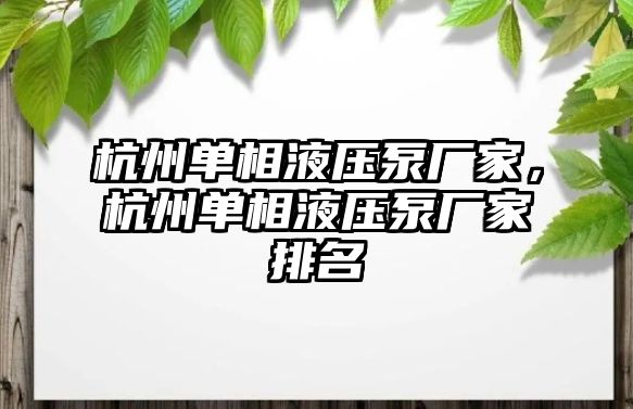 杭州單相液壓泵廠家，杭州單相液壓泵廠家排名