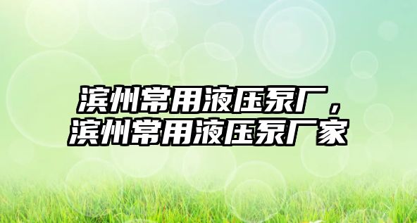 濱州常用液壓泵廠，濱州常用液壓泵廠家