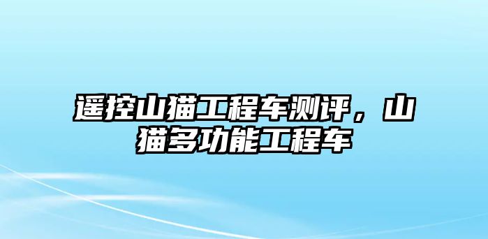 遙控山貓工程車測(cè)評(píng)，山貓多功能工程車