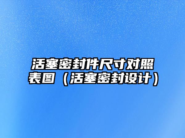 活塞密封件尺寸對照表圖（活塞密封設計）