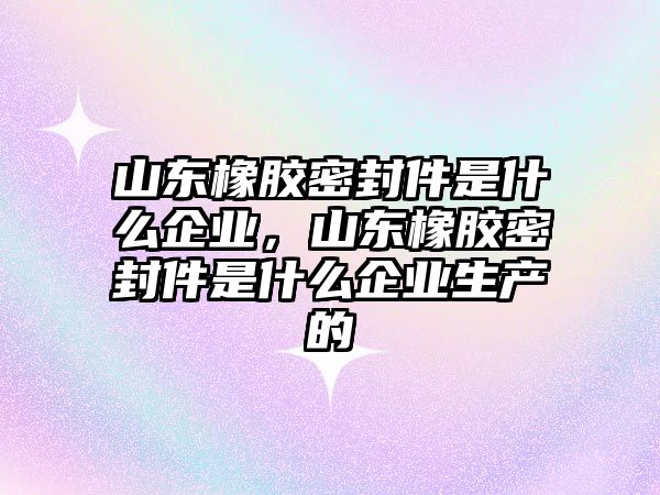 山東橡膠密封件是什么企業(yè)，山東橡膠密封件是什么企業(yè)生產(chǎn)的