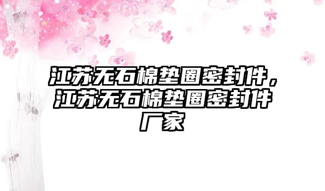 江蘇無石棉墊圈密封件，江蘇無石棉墊圈密封件廠家