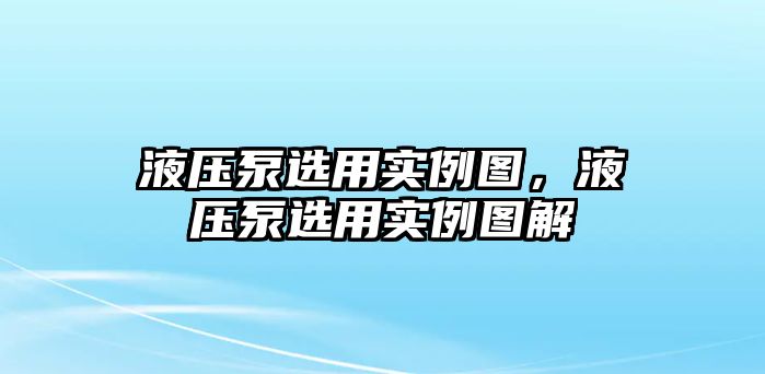 液壓泵選用實(shí)例圖，液壓泵選用實(shí)例圖解