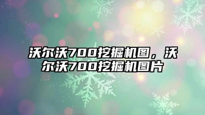 沃爾沃700挖掘機(jī)圖，沃爾沃700挖掘機(jī)圖片