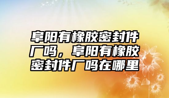 阜陽有橡膠密封件廠嗎，阜陽有橡膠密封件廠嗎在哪里