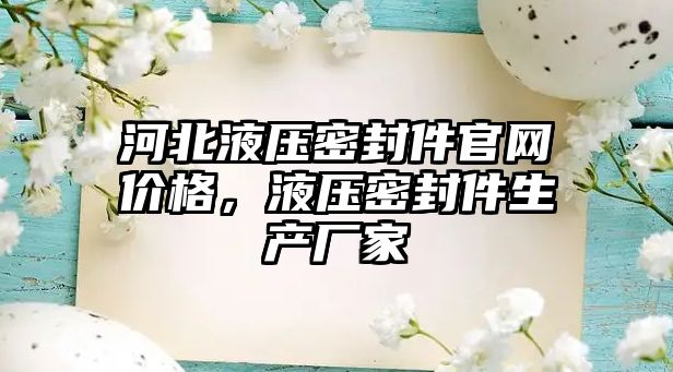 河北液壓密封件官網(wǎng)價格，液壓密封件生產(chǎn)廠家