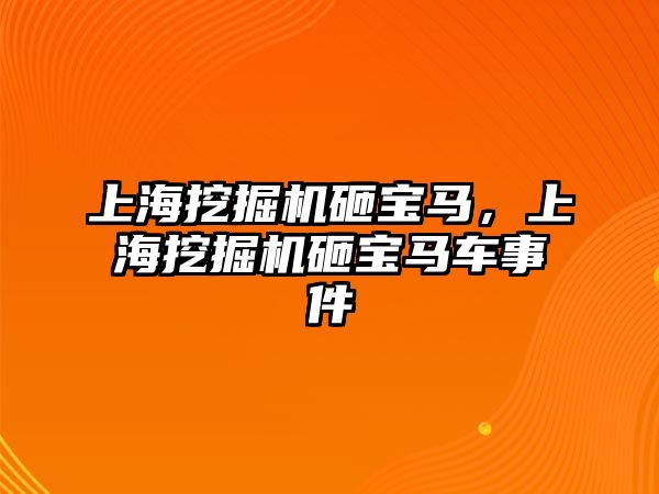 上海挖掘機砸寶馬，上海挖掘機砸寶馬車事件