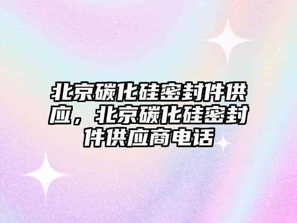 北京碳化硅密封件供應，北京碳化硅密封件供應商電話