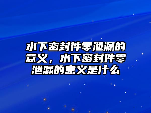 水下密封件零泄漏的意義，水下密封件零泄漏的意義是什么