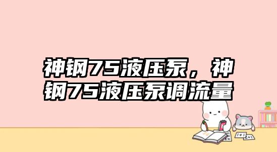 神鋼75液壓泵，神鋼75液壓泵調(diào)流量