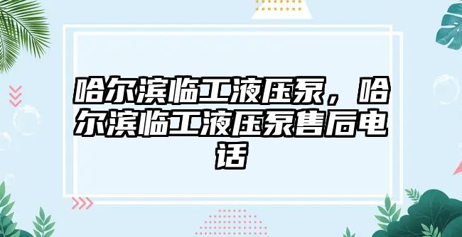 哈爾濱臨工液壓泵，哈爾濱臨工液壓泵售后電話(huà)