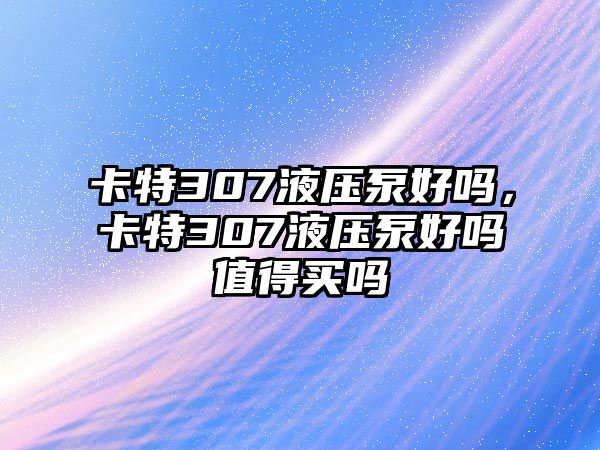 卡特307液壓泵好嗎，卡特307液壓泵好嗎值得買嗎