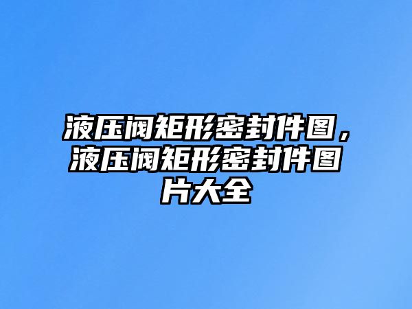 液壓閥矩形密封件圖，液壓閥矩形密封件圖片大全