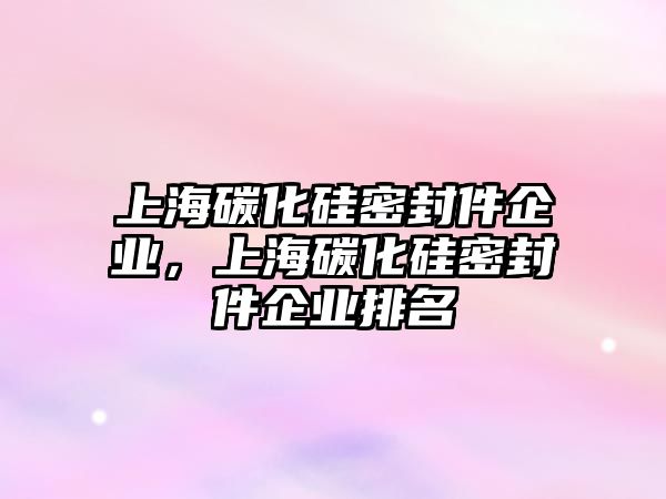 上海碳化硅密封件企業(yè)，上海碳化硅密封件企業(yè)排名