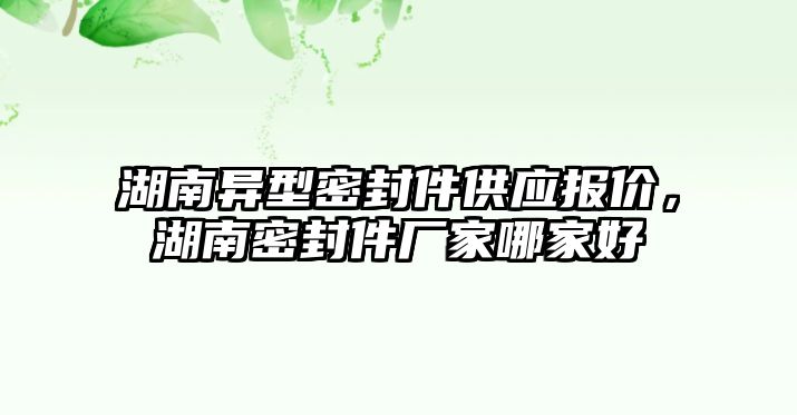 湖南異型密封件供應(yīng)報價，湖南密封件廠家哪家好