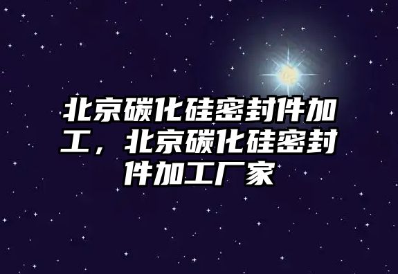 北京碳化硅密封件加工，北京碳化硅密封件加工廠家