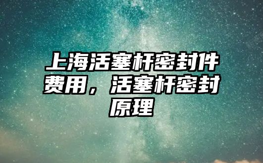 上?；钊麠U密封件費用，活塞桿密封原理