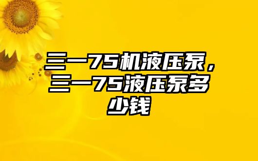 三一75機(jī)液壓泵，三一75液壓泵多少錢