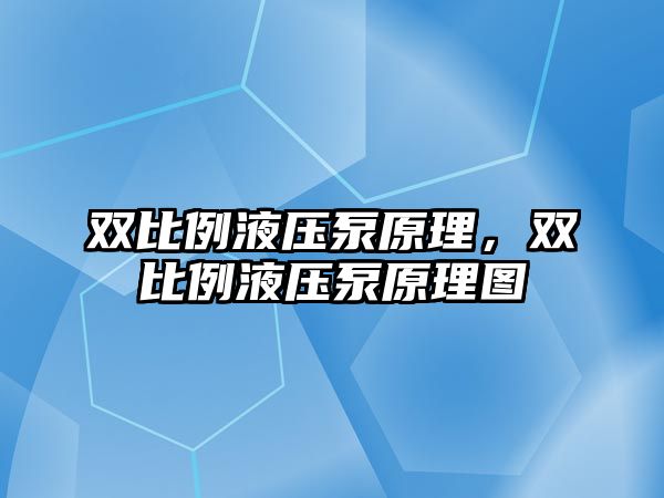 雙比例液壓泵原理，雙比例液壓泵原理圖