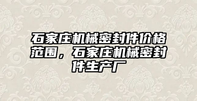 石家莊機械密封件價格范圍，石家莊機械密封件生產(chǎn)廠