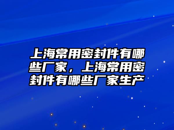 上海常用密封件有哪些廠家，上海常用密封件有哪些廠家生產