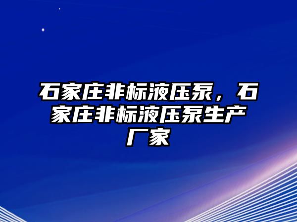 石家莊非標(biāo)液壓泵，石家莊非標(biāo)液壓泵生產(chǎn)廠家