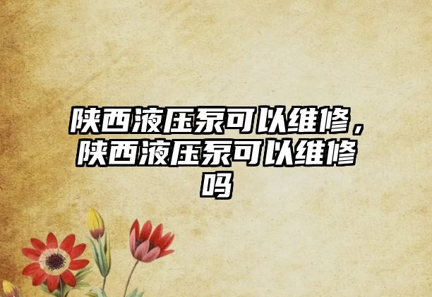 陜西液壓泵可以維修，陜西液壓泵可以維修嗎