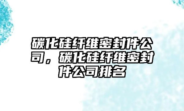 碳化硅纖維密封件公司，碳化硅纖維密封件公司排名