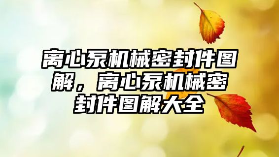 離心泵機械密封件圖解，離心泵機械密封件圖解大全