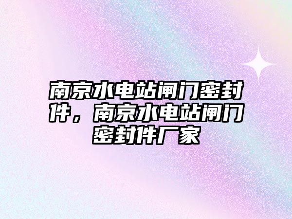 南京水電站閘門密封件，南京水電站閘門密封件廠家