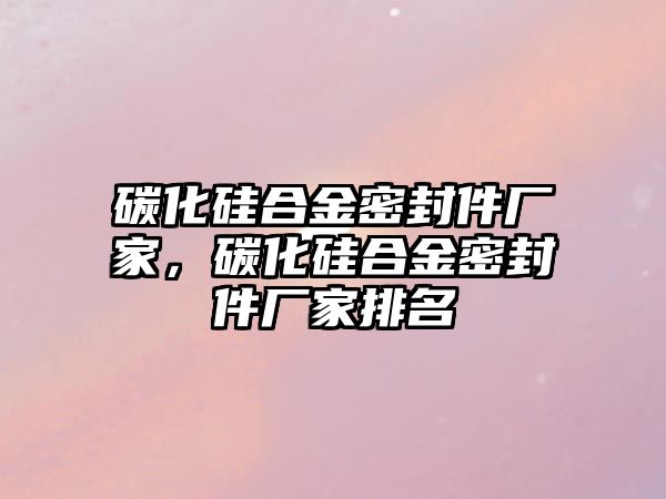 碳化硅合金密封件廠家，碳化硅合金密封件廠家排名