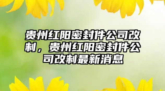 貴州紅陽(yáng)密封件公司改制，貴州紅陽(yáng)密封件公司改制最新消息