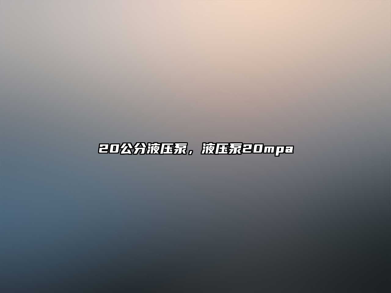 20公分液壓泵，液壓泵20mpa