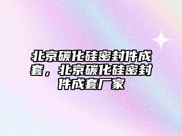 北京碳化硅密封件成套，北京碳化硅密封件成套廠家