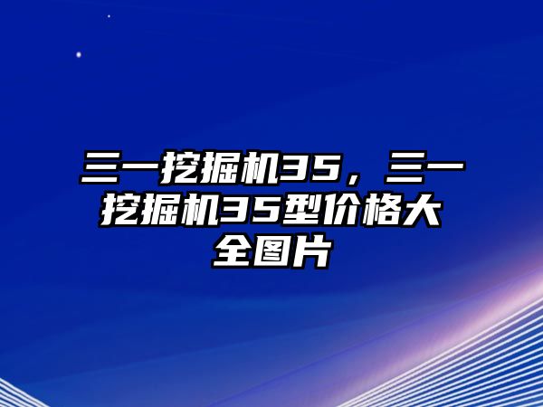 三一挖掘機(jī)35，三一挖掘機(jī)35型價(jià)格大全圖片