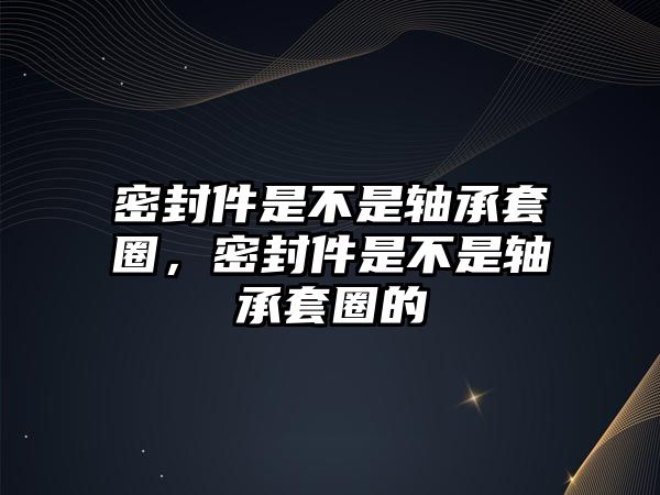 密封件是不是軸承套圈，密封件是不是軸承套圈的