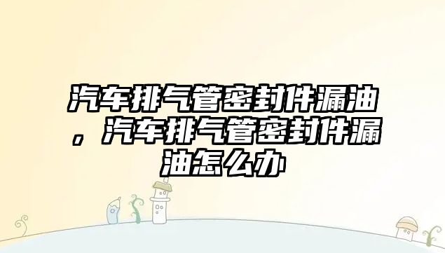 汽車排氣管密封件漏油，汽車排氣管密封件漏油怎么辦