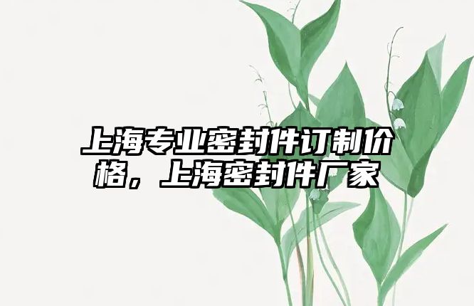 上海專業(yè)密封件訂制價格，上海密封件廠家