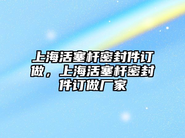 上海活塞桿密封件訂做，上?；钊麠U密封件訂做廠家